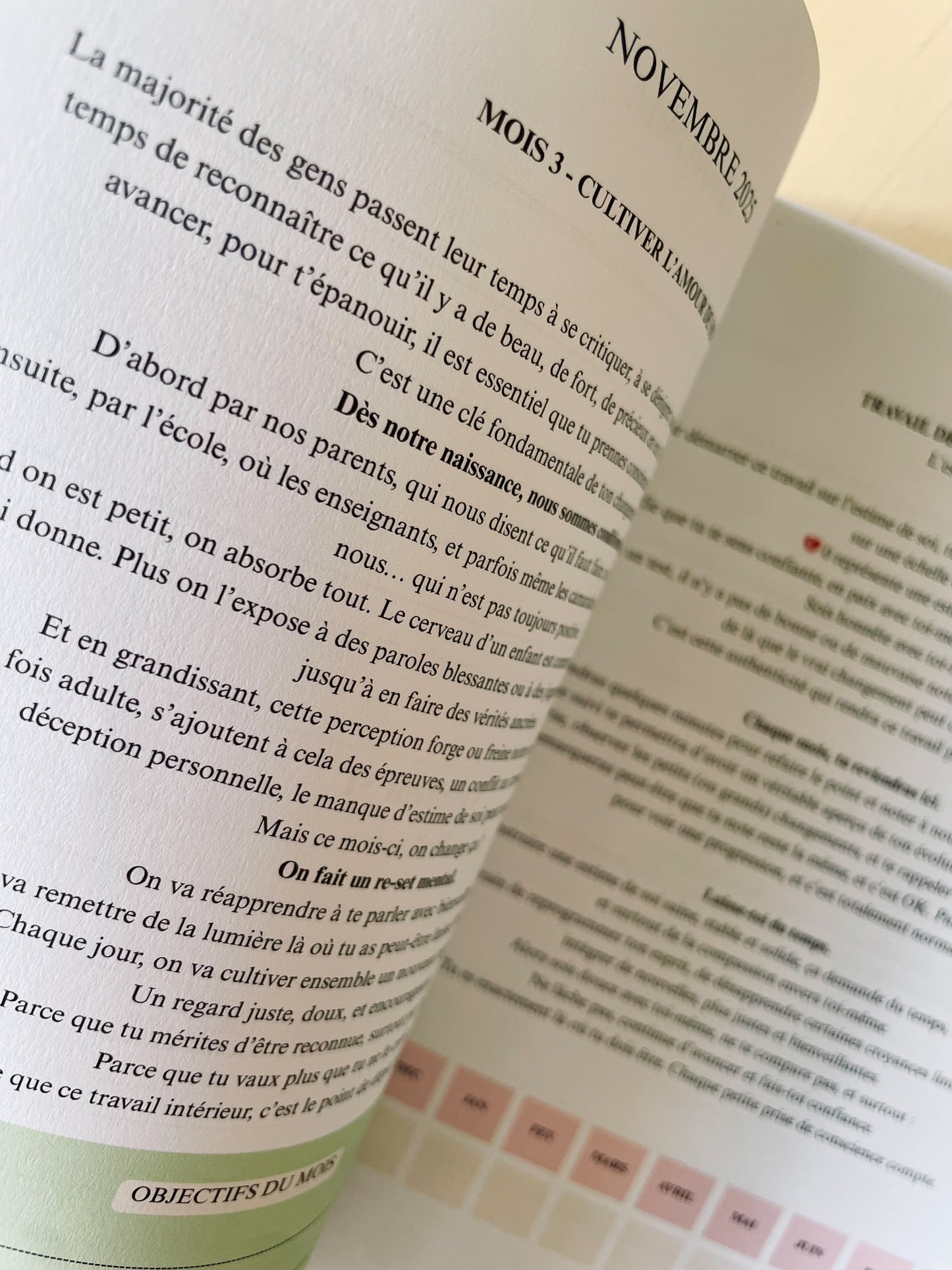 🔥 L'agenda PERSONNALISATION - 365 jours pour briller