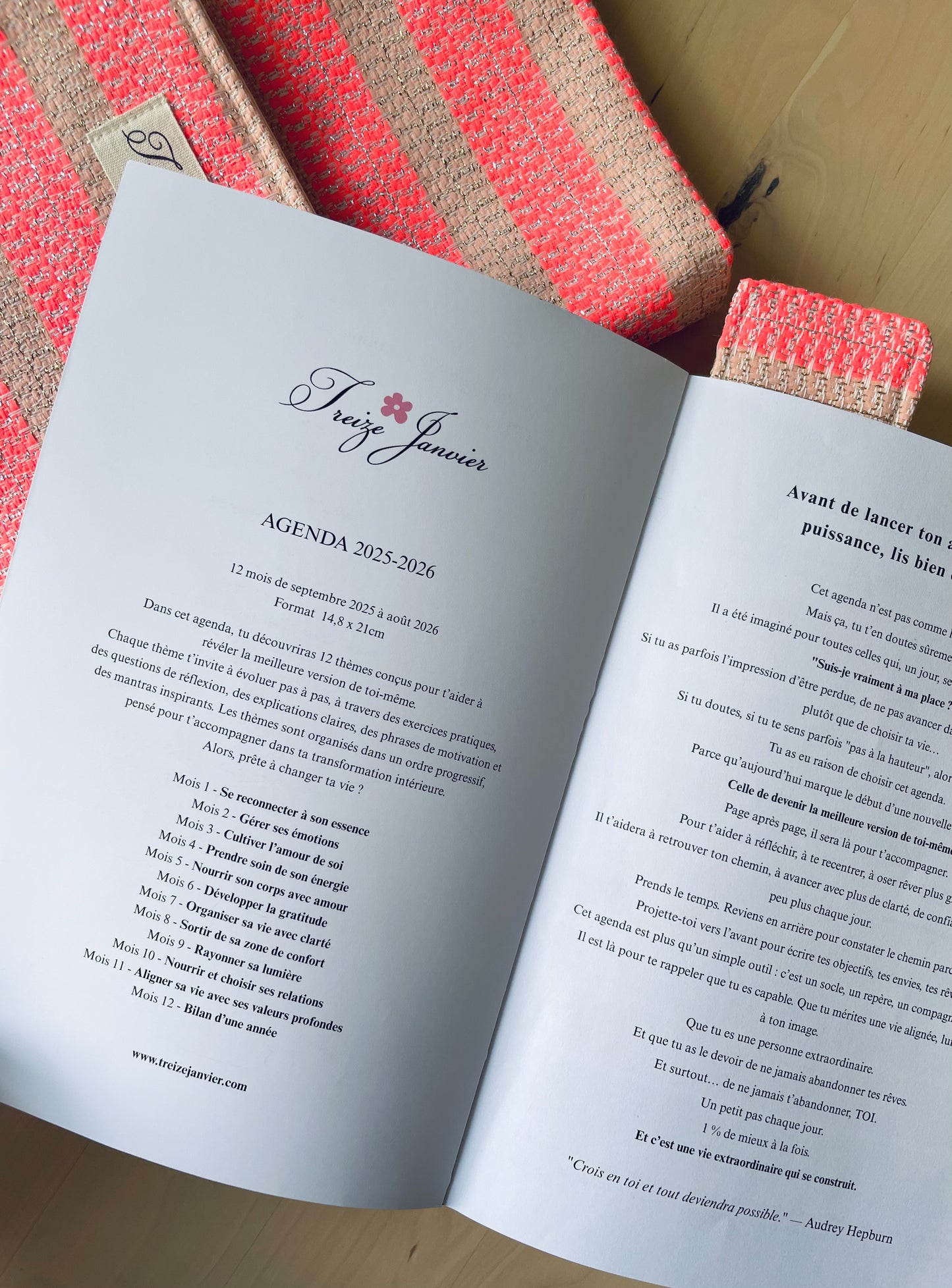 🔥 L'agenda PERSONNALISATION - 365 jours pour briller